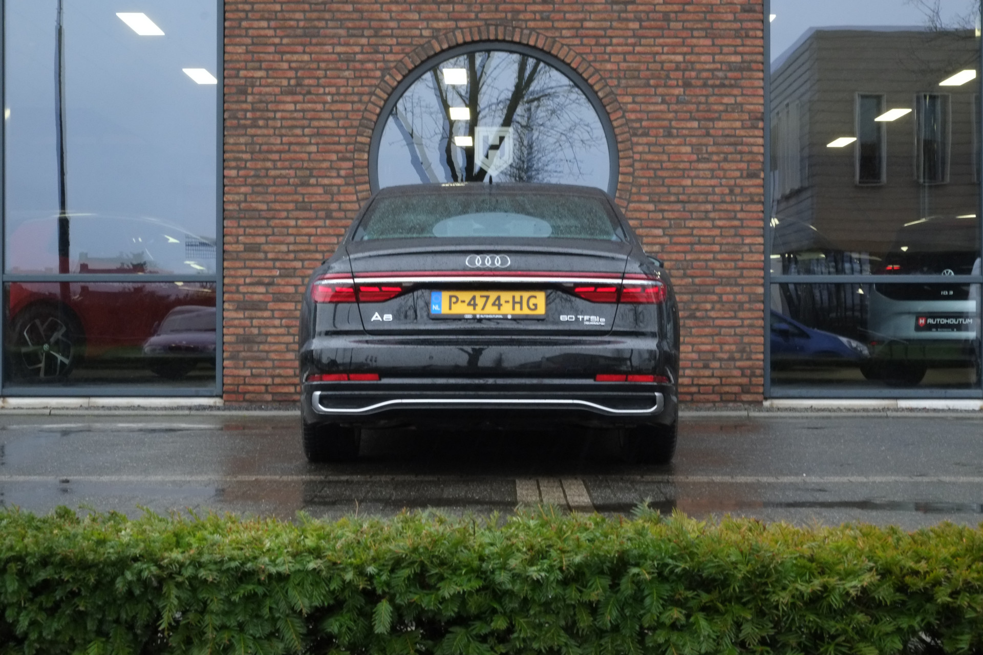 42649585-6.jpg
